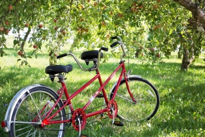 Equipes tandem